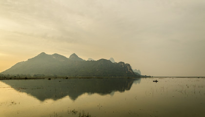 什么品种的月季比较耐阴耐寒